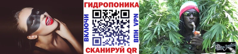Как найти наркотики Нерехта Галлюциногенные грибы Гашиш Канабис